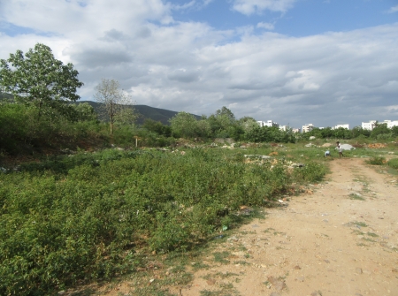 5) Li Id 214 - Pic 6.JPG